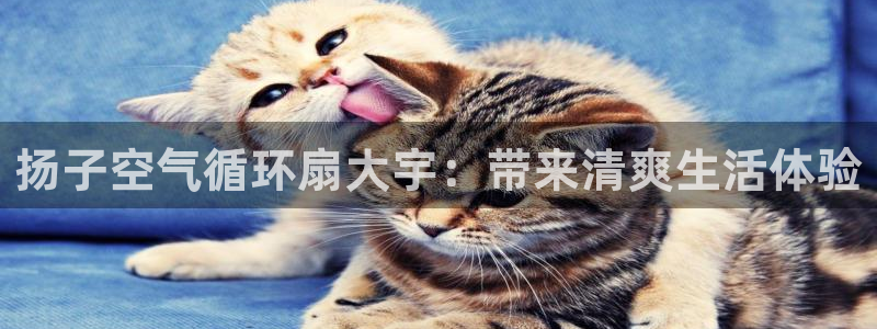 凯发k8旗舰店：扬子空气循环扇大宇：带来清爽生活体验