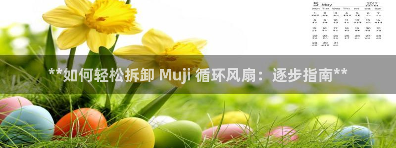 凯发首页：**如何轻松拆卸 Muji 循环风扇：逐步指南**