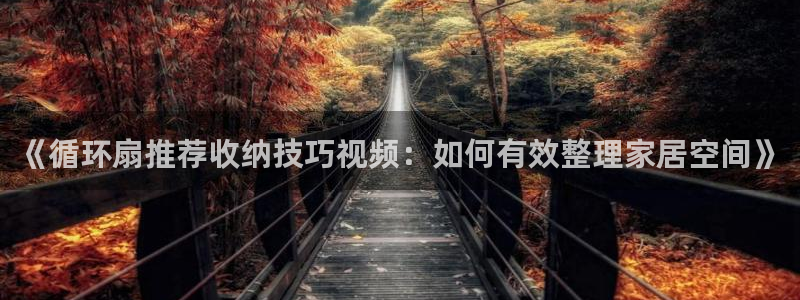 凯发国际app下载：《循环扇推荐收纳技巧视频：如何有效整理家居空间》