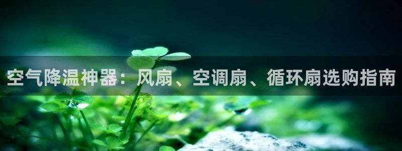 凯发k8手机是正品吗多少钱：空气降温神器：风扇、空调扇、循环扇选购指南