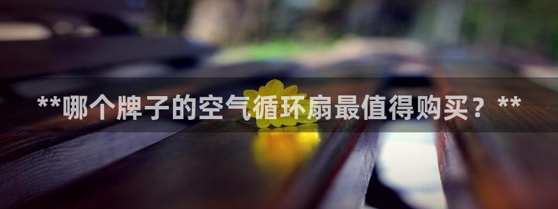 凯发k8国际注册：**哪个牌子的空气循环扇最值得购买？**