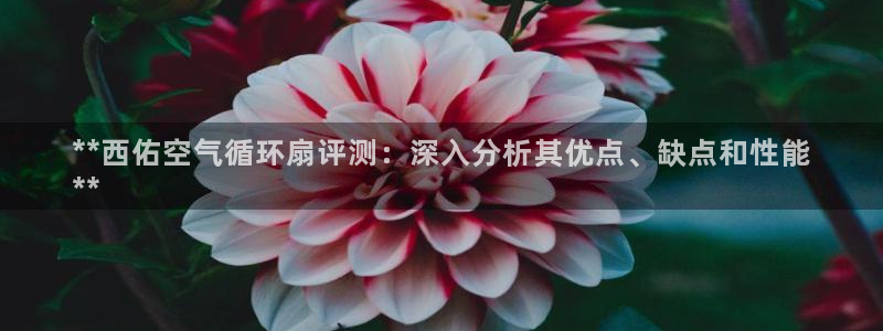 凯发平台医7O777：**西佑空气循环扇评测：深入分析其优点、缺点和性能
**