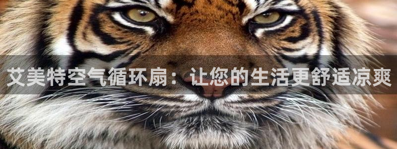 凯发k8国际版官网：艾美特空气循环扇：让您的生活更舒适凉爽