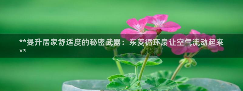 凯发国际平台官网：**提升居家舒适度的秘密武器：东菱循环扇让空气流动起来
**