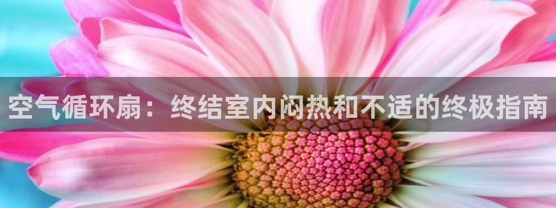 凯发k8官方网娱乐官方真：空气循环扇：终结室内闷热和不适的终极指南