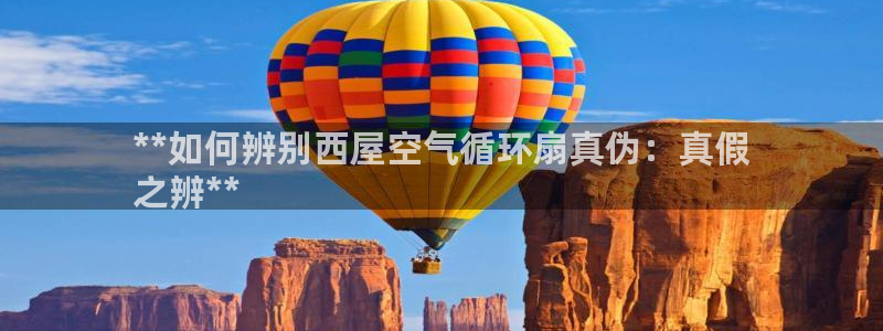 凯发国际网站首页：**如何辨别西屋空气循环扇真伪：真假
之辨**