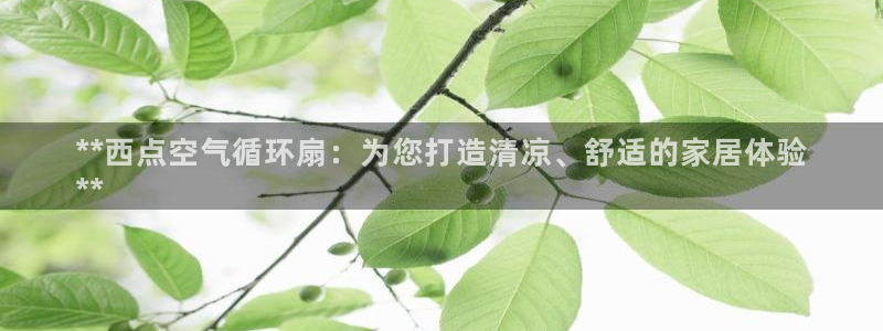 凯发是正规平台吗：**西点空气循环扇：为您打造清凉、舒适的家居体验
**