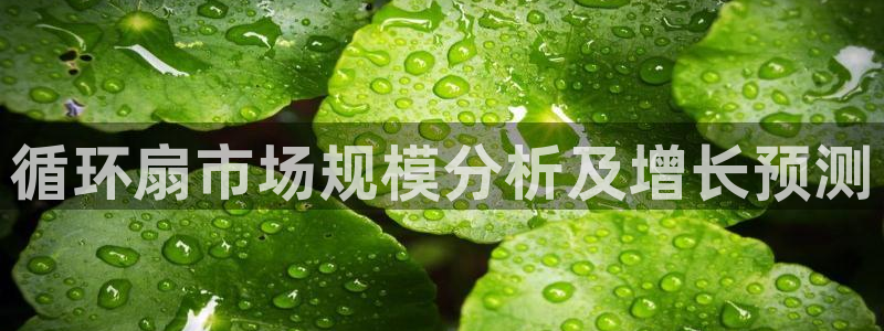 凯发官网入口首页：循环扇市场规模分析及增长预测