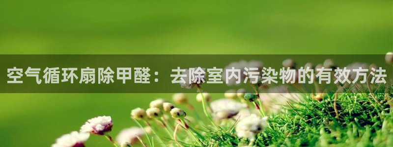 凯发线上app苹果版下载：空气循环扇除甲醛：去除室内污染物的有效方法