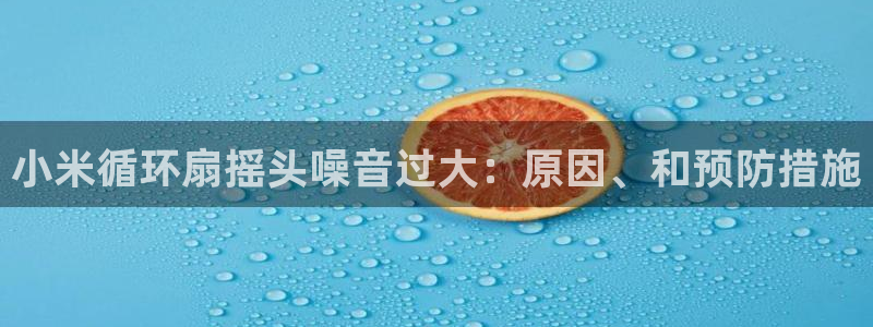 k8凯发是做什么的：小米循环扇摇头噪音过大：原因、和预防措施