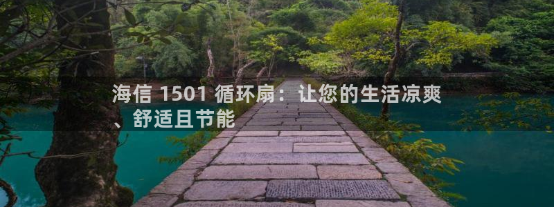 凯发k8娱乐是国内平台?：海信 1501 循环扇：让您的生活凉爽
、舒适且节能