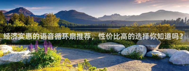 凯发注册app在线：经济实惠的语音循环扇推荐，性价比高的选择你知道吗？