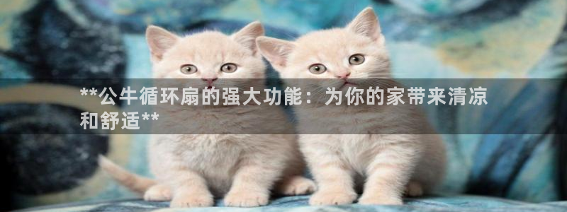 凯发K8登录入口：**公牛循环扇的强大功能：为你的家带来清凉
和舒适**