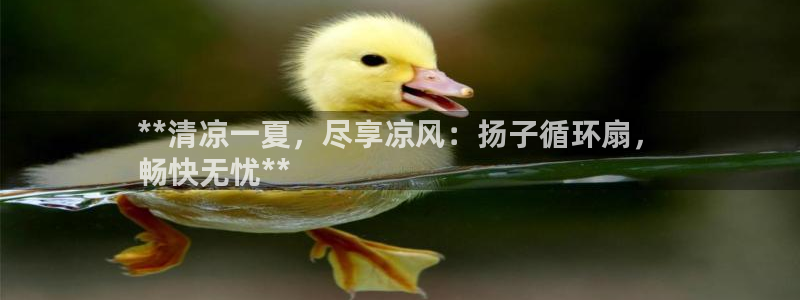 凯发平台开户：**清凉一夏，尽享凉风：扬子循环扇，
畅快无忧**
