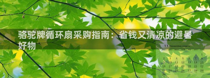 凯发官方:访问凯发.网站：骆驼牌循环扇采购指南：省钱又清凉的避暑
好物