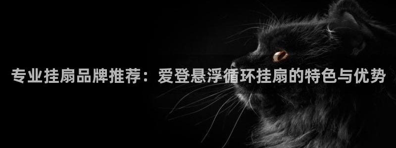 凯发娱乐官方网：专业挂扇品牌推荐：爱登悬浮循环挂扇的特色与优势