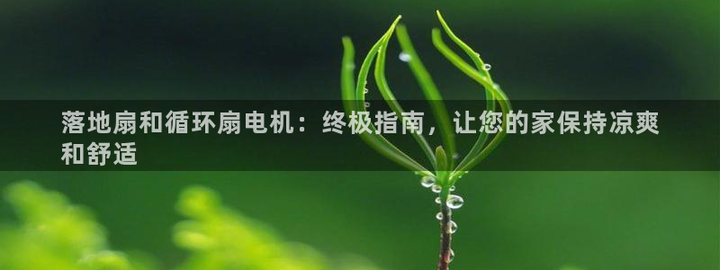凯发官网地址：落地扇和循环扇电机：终极指南，让您的家保持凉爽
和舒适