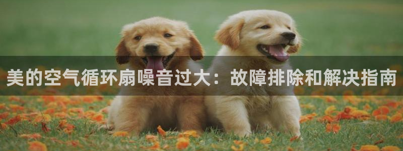 凯发k8娱乐注册登录：美的空气循环扇噪音过大：故障排除和解决指南