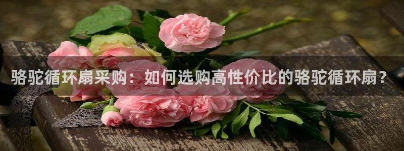 凯发网址多少：骆驼循环扇采购：如何选购高性价比的骆驼循环扇？