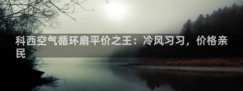凯发网址登录：科西空气循环扇平价之王：冷风习习，价格亲
民