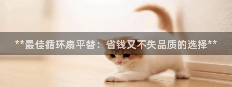 凯发官网登录免费下载：**最佳循环扇平替：省钱又不失品质的选择**