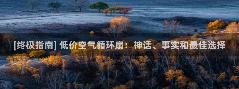 凯发线上客户端免费下载：[终极指南] 低价空气循环扇：神话、事实和最佳选择