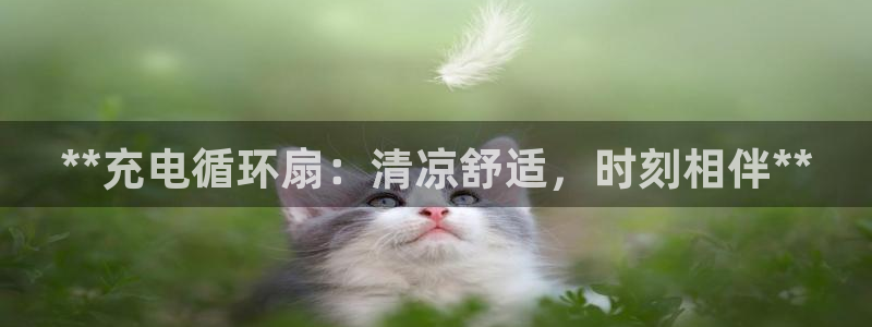 凯发一触即发：**充电循环扇：清凉舒适，时刻相伴**