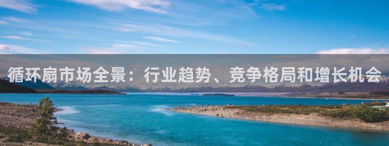 凯发注册平台安卓版下载：循环扇市场全景：行业趋势、竞争格局和增长机会