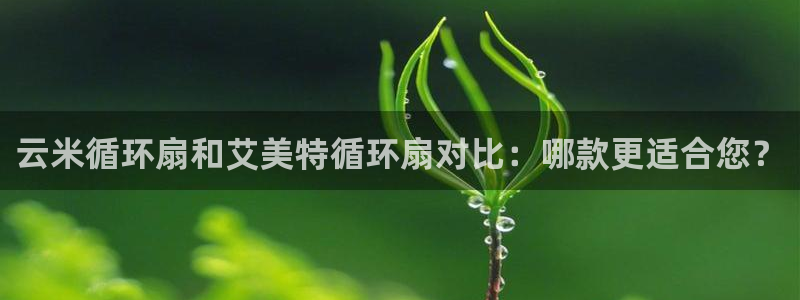 凯发k8国际首页登录：云米循环扇和艾美特循环扇对比：哪款更适合您？