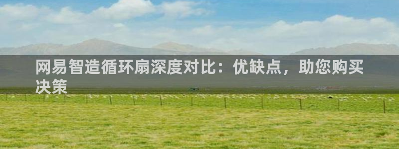 凯发官网入口首页：网易智造循环扇深度对比：优缺点，助您购买
决策