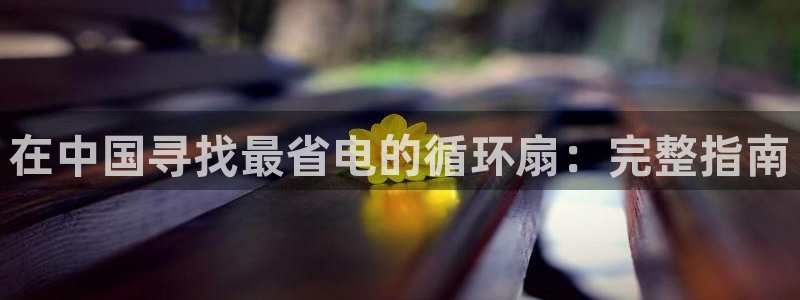 凯发k8娱乐旗舰厅：在中国寻找最省电的循环扇：完整指南