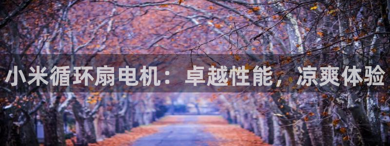 凯发旗舰厅：小米循环扇电机：卓越性能，凉爽体验