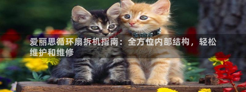 凯发就来凯发天生赢家一触即发：爱丽思循环扇拆机指南：全方位内部结构，轻松
维护和维修