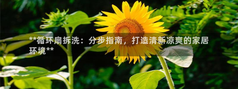 凯发旗舰厅登录免费下载：**循环扇拆洗：分步指南，打造清新凉爽的家居
环境**