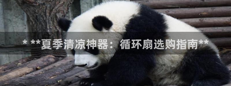 凯发k8娱乐网址多少：* **夏季清凉神器：循环扇选购指南**
