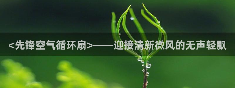 凯发k8网页登录：<先锋空气循环扇>——迎接清新微风的无声轻飘