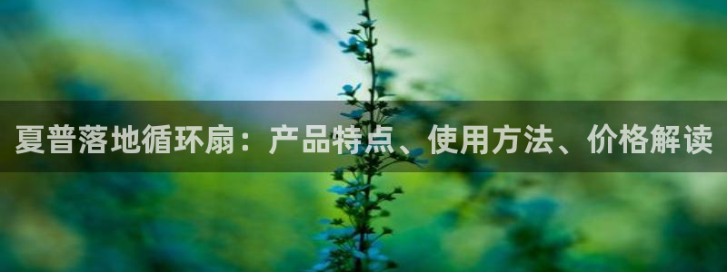 凯发线上官方网站下载网址：夏普落地循环扇：产品特点、使用方法、价格解读