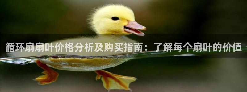 凯发app是干嘛的：循环扇扇叶价格分析及购买指南：了解每个扇叶的价值