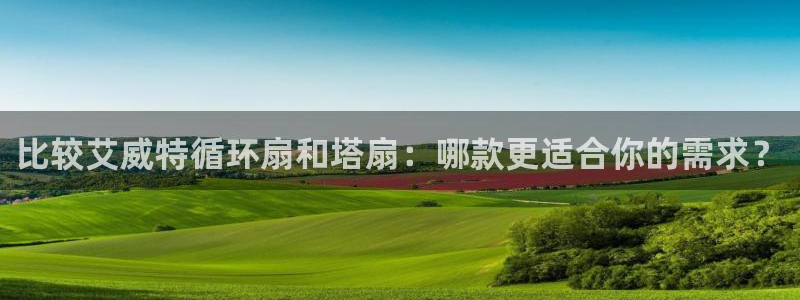 凯发k8555|手机版：比较艾威特循环扇和塔扇：哪款更适合你的需求？