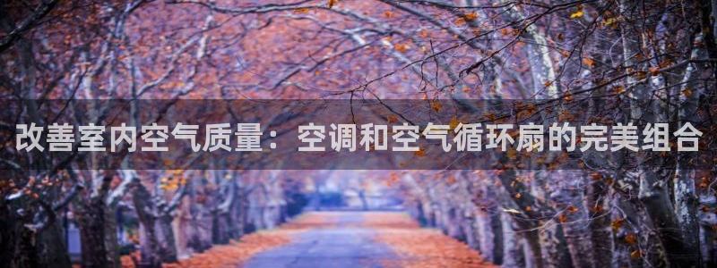 凯发k8娱乐网址多少：改善室内空气质量：空调和空气循环扇的完美组合