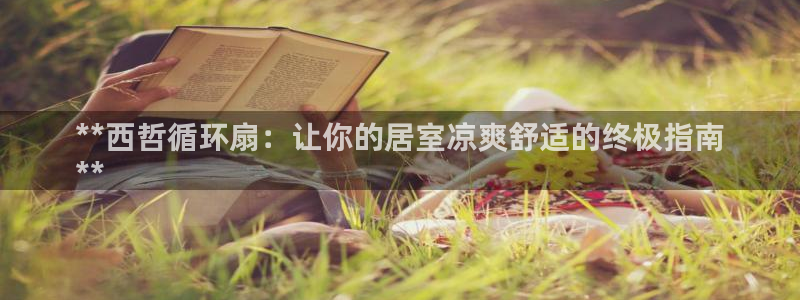 凯发国际app下载：**西哲循环扇：让你的居室凉爽舒适的终极指南
**