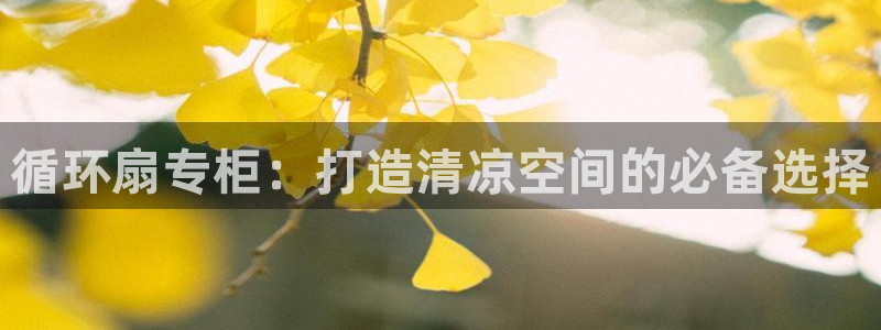 凯发平台首7O777：循环扇专柜：打造清凉空间的必备选择