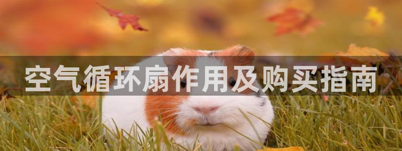 凯发平台首7O777：空气循环扇作用及购买指南