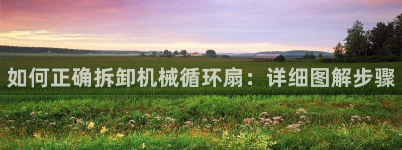 凯发官网登录地址陆地：如何正确拆卸机械循环扇：详细图解步骤
