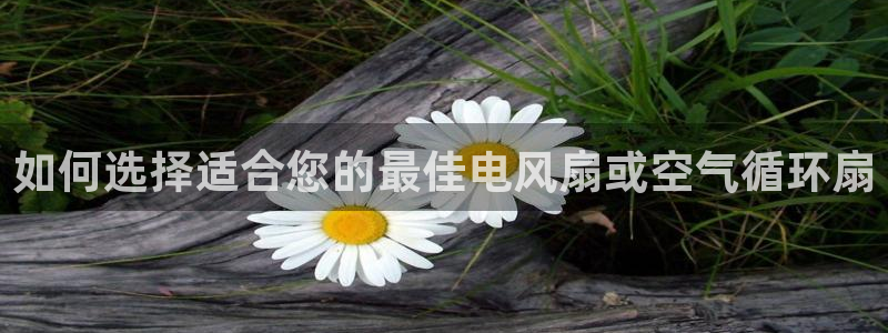 凯发k8登录首页：如何选择适合您的最佳电风扇或空气循环扇
