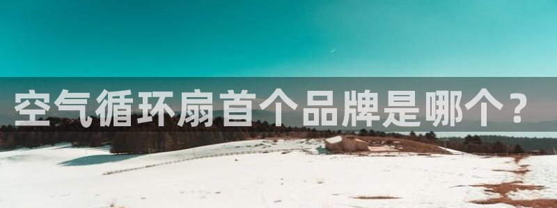 凯发旗舰厅官网：空气循环扇首个品牌是哪个？