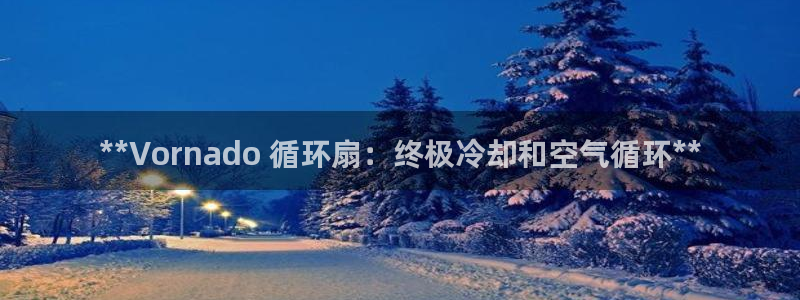 凯发k8国际app：**Vornado 循环扇：终极冷却和空气循环**