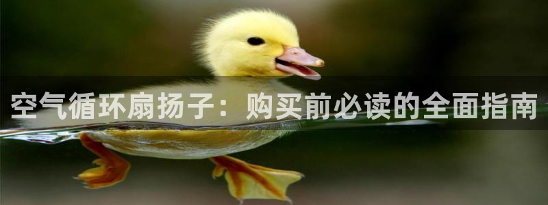 凯发官方首页：空气循环扇扬子：购买前必读的全面指南