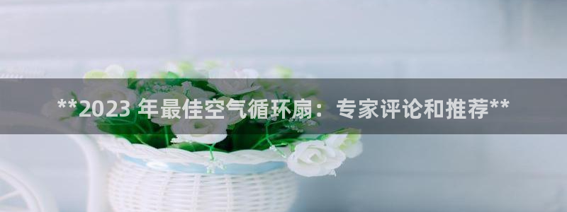 凯发k8国际下载：**2023 年最佳空气循环扇：专家评论和推荐**