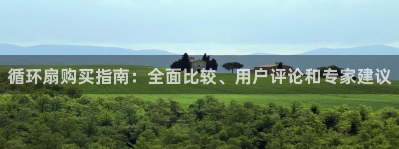 凯发线上官方网站下载网址：循环扇购买指南：全面比较、用户评论和专家建议